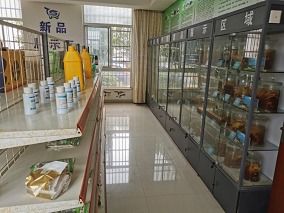 喜報！市水產(chǎn)站榮獲江蘇省漁業(yè)科技服務(wù)與示范推廣一等獎，計算機(jī)系統(tǒng)服務(wù)功不可沒