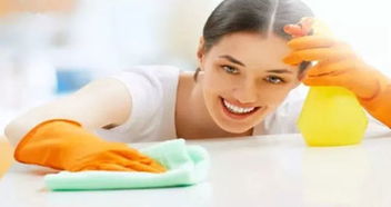 家政服務的品質之選 深度解析好傭來菲傭的顯著優勢